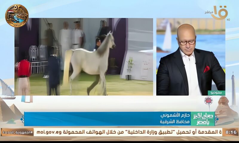 حازم الأشموني: مهرجان الخيول العربية يجسد عراقة التراث ويعزز السياحة بالشرقية