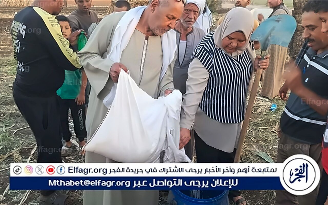 محافظ أسيوط: تدريب المزارعين على إعداد السيلاج بقرى الفتح