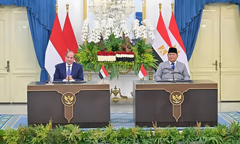 مصر وإندونيسيا تشددان على مبدأ عدم الإضرار في إدارة المجاري المائية العابرة للحدود