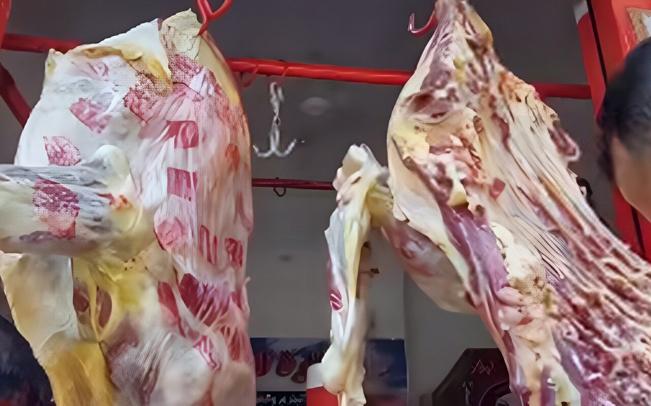 بعد ضبط مواد غذائية مخالفة بالجيزة، كيف تتجنب اللحوم والدواجن الفاسدة؟
