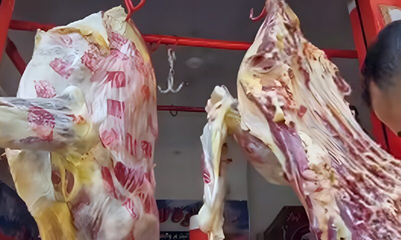 بعد ضبط مواد غذائية مخالفة بالجيزة، كيف تتجنب اللحوم والدواجن الفاسدة؟