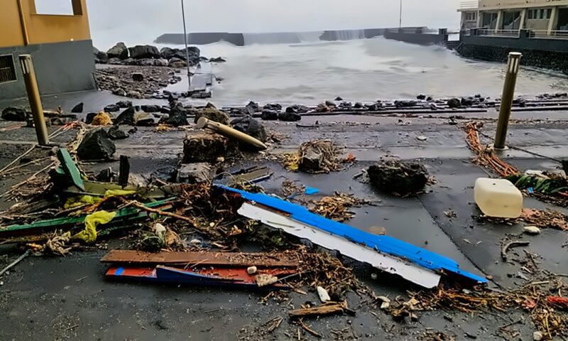 زئير كالأسد واقتلاع أسقف وسقوط أشجار ضخمة، مشاهد مرعبة لإعصار أمريكا المدمر (فيديو)