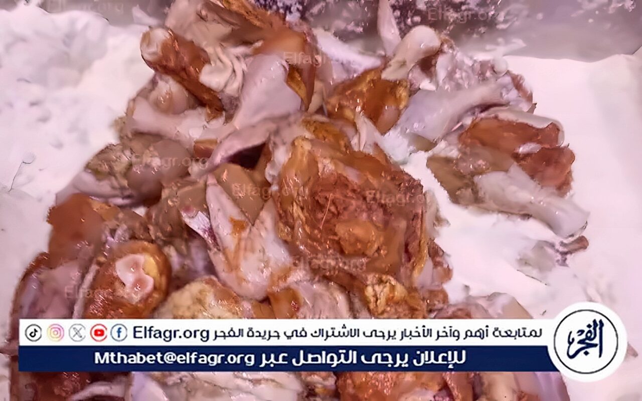 حملات رقابية بالمنيا وسمالوط…. تحرير 17 محضرًا لمخالفات المحال والإشغالات والأسواق
