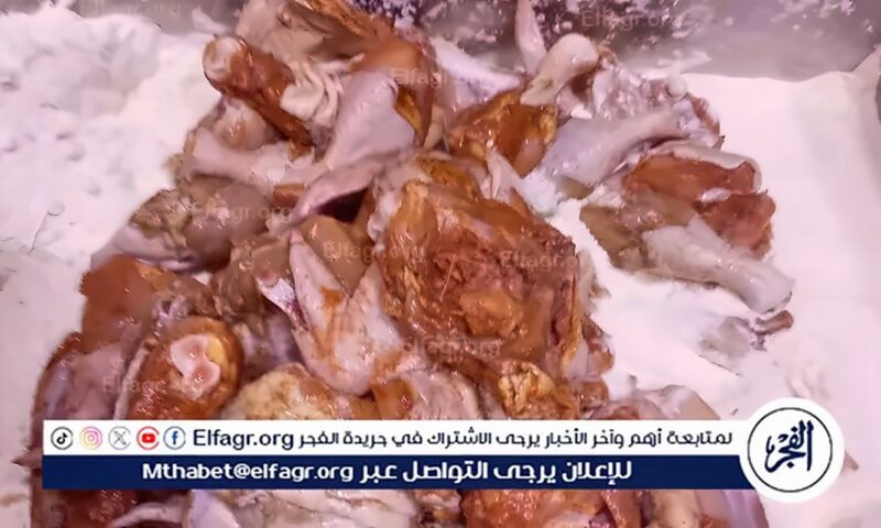 حملات رقابية بالمنيا وسمالوط…. تحرير 17 محضرًا لمخالفات المحال والإشغالات والأسواق