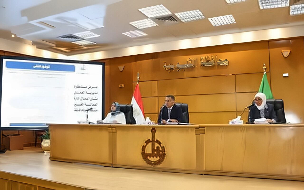 محافظ القليوبية يوجّه برفع الاستعداد لموسم الأمطار.. وسرعة الاستجابة لشكاوى المواطنين ومتابعة مشروعات الخطة الاستثمارية
