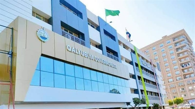 صحة القليوبية تعلن فتح باب التعاقد مع أطباء بشريين في 4 تخصصات