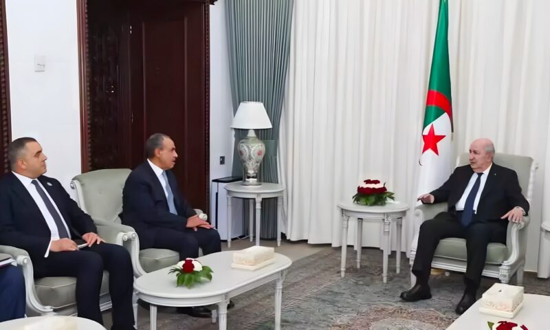 وزير الخارجية يلتقي رئيس الجزائر ويؤكدان الحرص على تعزيز التعاون بين البلدين (صور)