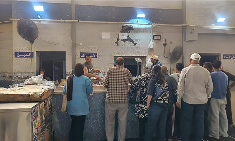 سمك الشخرم بـ20 جنيهًا والبلطي بـ80، جولة للتموين على الأسواق ومنافذ البيع بالإسماعيلية