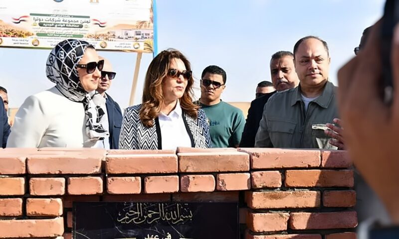 من الحصاد للتصنيع والتسويق، مجمع جديد بالوادي الجديد لتعظيم أرباح التمور