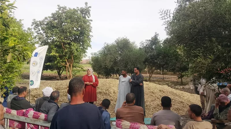 تدوير المخلفات الزراعية يفتح آفاق الاقتصاد الأخضر ويوفر فرص عمل جديدة بالصعيد