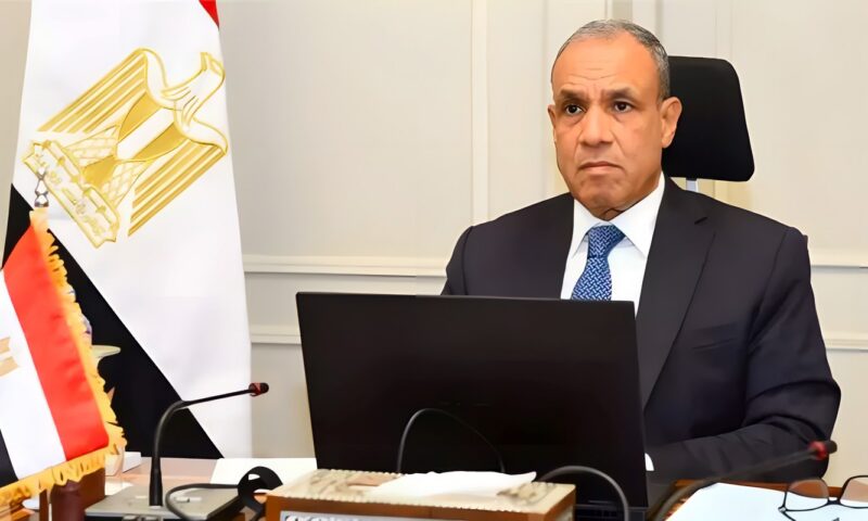 وزير الخارجية: الاستقرار الداخلي وحكمة القيادة السياسية سر نجاح مصر في الملفات الإقليمية والدولية