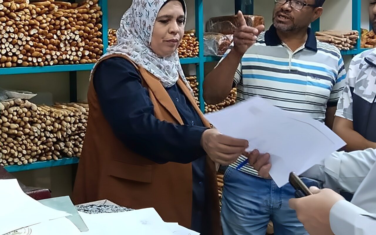 تموين الوادي الجديد يحرر 455 محضرا ومخالفة خلال سبتمبر
