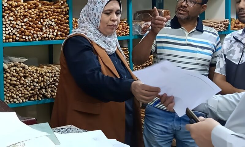 تموين الوادي الجديد يحرر 455 محضرا ومخالفة خلال سبتمبر