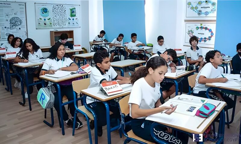 اللغة العربية والتاريخ، تحرك برلماني بشأن مواد الهوية في المدارس الدولية