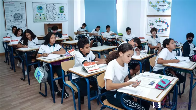 اللغة العربية والتاريخ، تحرك برلماني بشأن مواد الهوية في المدارس الدولية