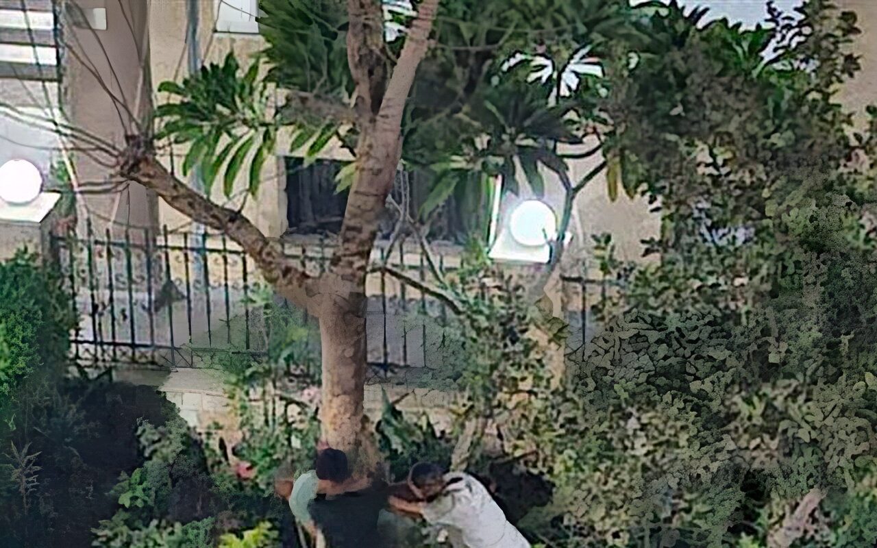 أزمة إزالة المساحات الخضراء بزهراء المعادي تصل الى النواب في طلب إحاطة