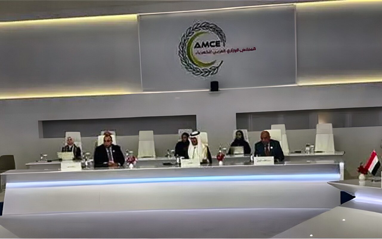 وزير الكهرباء: تطوير قاعدة بيانات عربية موحدة لمشروعات الطاقة المتجددة وكفاءة الطاقة