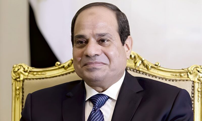الرئيس السيسي يحذر من حملات استهداف مصر، ويؤكد: مواجهة التحديات مسؤولية وطنية مشتركة