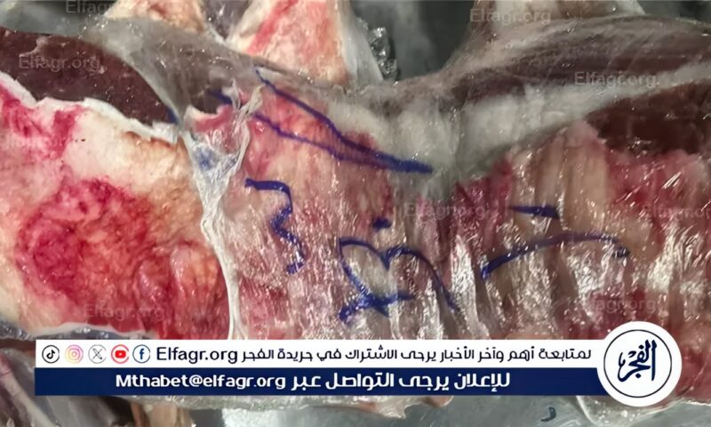 الطب البيطري: ضبط 241 كجم من اللحوم والدواجن غير الصالحة للاستهلاك الآدمي بالمحافظة