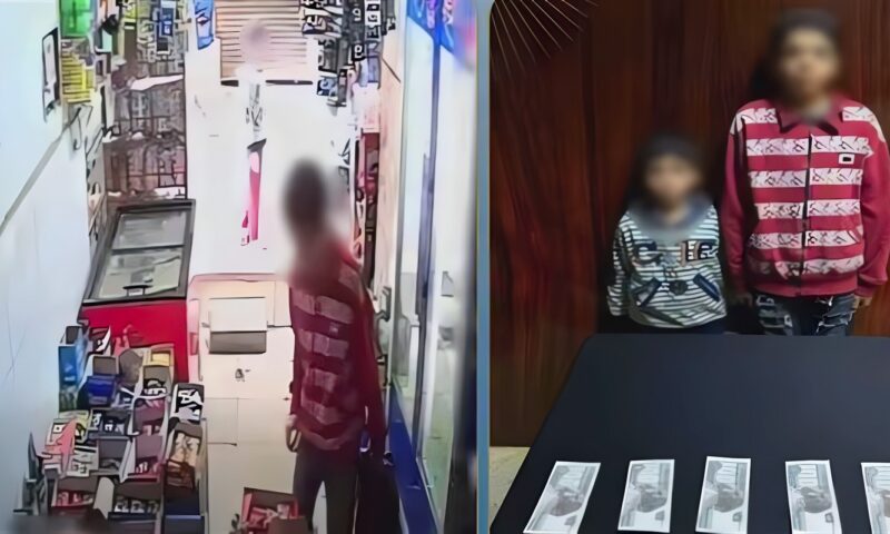 فيديو كشف المستور، 3 قرارات من النيابة ضد طفلين استوليا على حقيبة سيدة داخل محل
