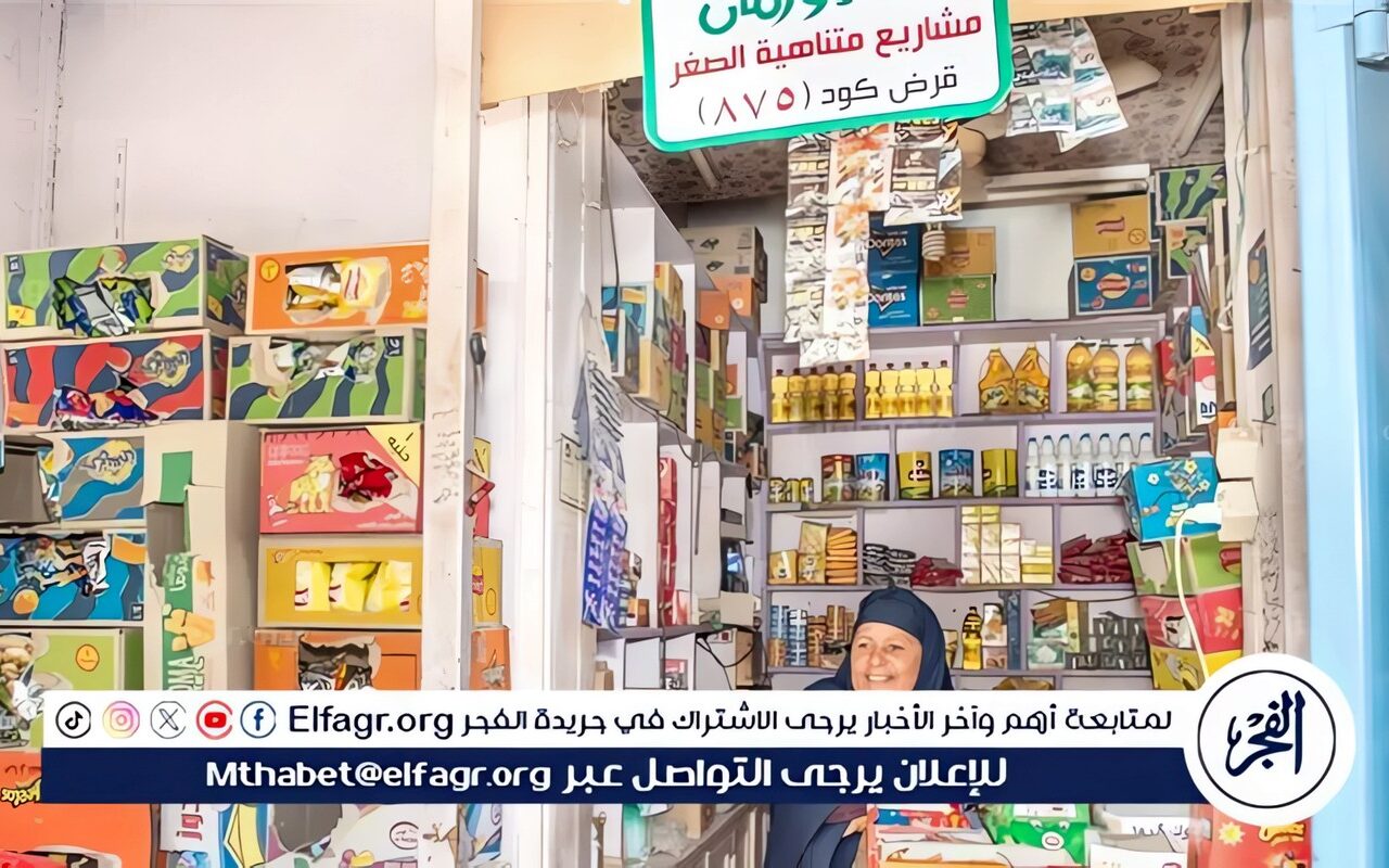تطبيقًا لشعار “علمني الصيد”.. الأورمان تنجح في تسليم 118 ألف مشروع تنموي للأسر الأولى بالرعاية بمحافظات الجمهورية