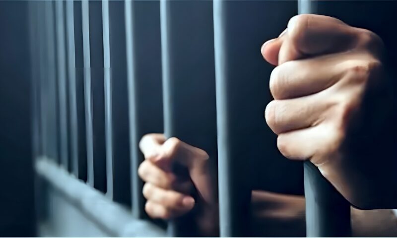 السجن المشدد 15 سنة لسائق بتهمة قتل زوج طليقته في شبين القناطر بالقليوبية
