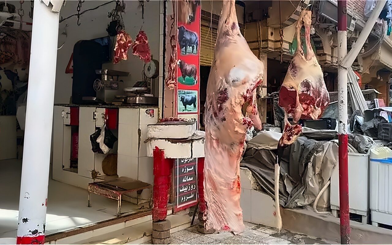 شعبة القصابين توضح أسباب ارتفاع أسعار اللحوم الجملي وتوقعاتها المستقبلية للسوق