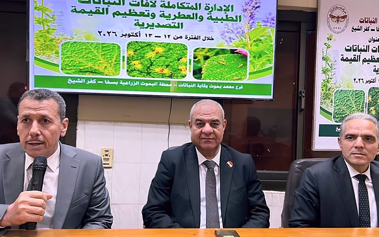 الزراعة تطور منظومة مكافحة الآفات لتعزيز صادرات النباتات الطبية والعطرية