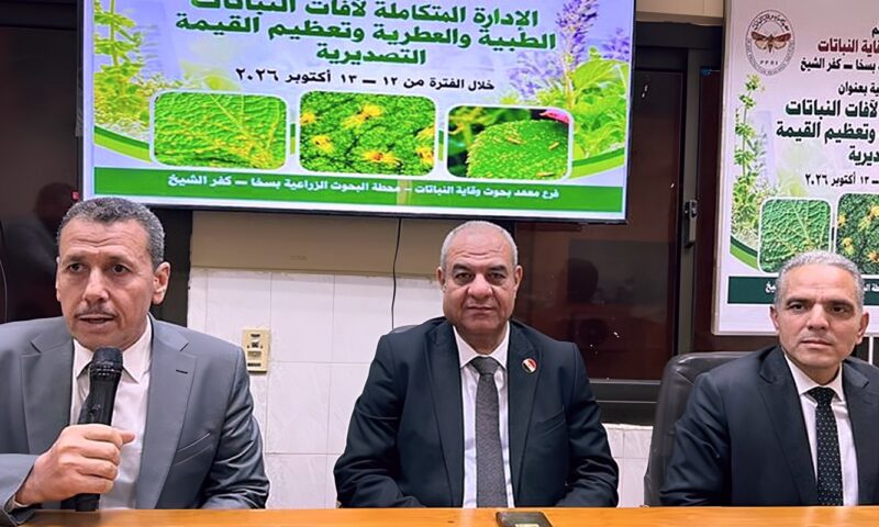 الزراعة تطور منظومة مكافحة الآفات لتعزيز صادرات النباتات الطبية والعطرية