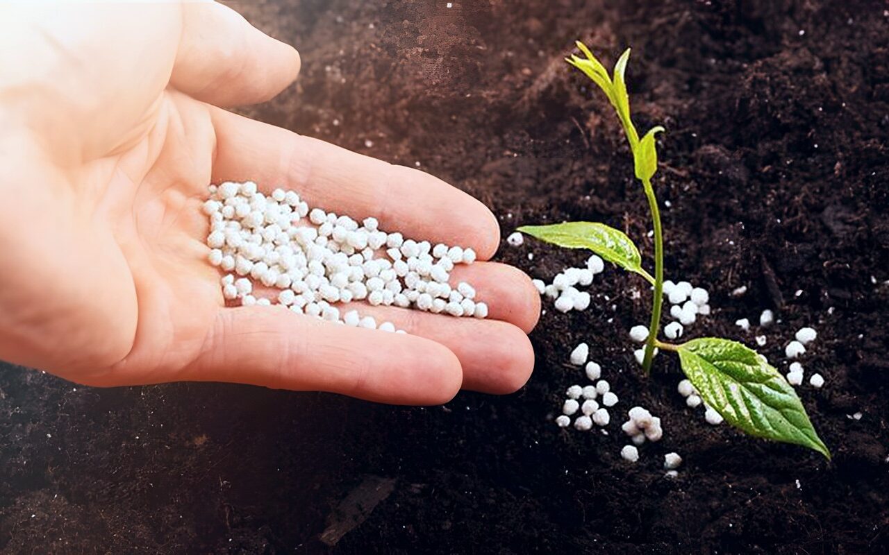 طن النترات يرتفع إلى 31 ألف جنيه، أسعار الأسمدة اليوم في الأسواق