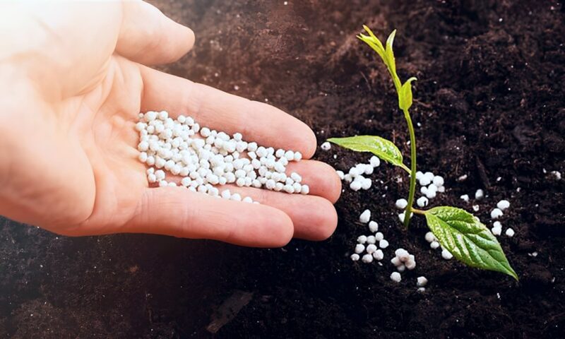 طن النترات يرتفع إلى 31 ألف جنيه، أسعار الأسمدة اليوم في الأسواق