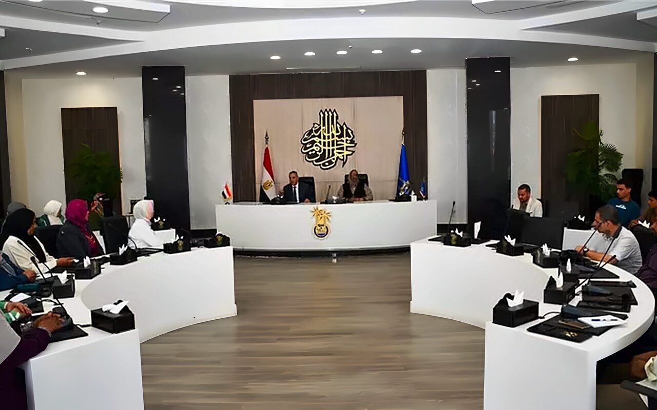 نائب محافظ أسوان يفتتح ورشة حوكمة البرنامج السكاني.. حلول تشاركية من أرض الواقع