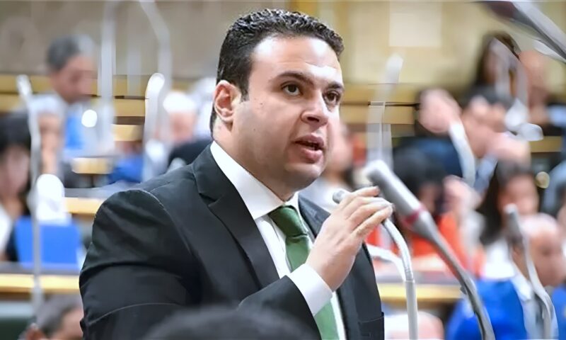 عبد المنعم إمام: عدم المساس بالدستور يفتح الباب أمام انتقال سلمي للسلطة