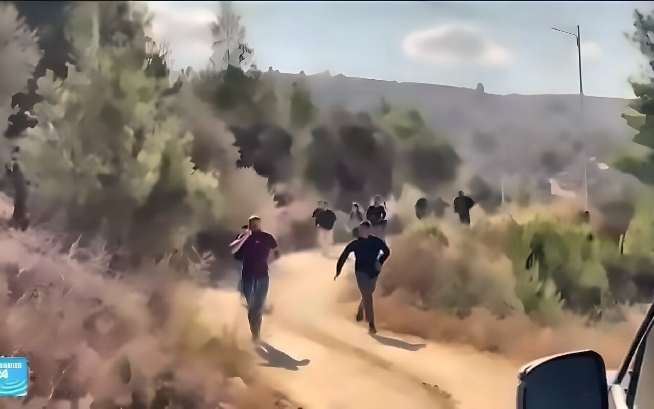 الزيتون الفلسطيني تحت النار والحصار.. المستوطنون يوسعون اعتداءاتهم في الضفة الغربية