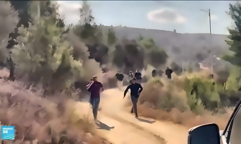 الزيتون الفلسطيني تحت النار والحصار.. المستوطنون يوسعون اعتداءاتهم في الضفة الغربية