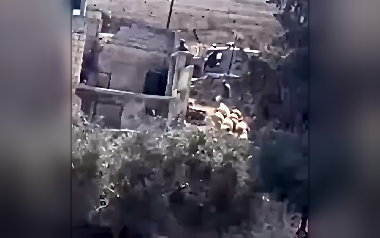 مستوطنون يسرقون أغناما في بلدة سلواد بالضفة الغربية