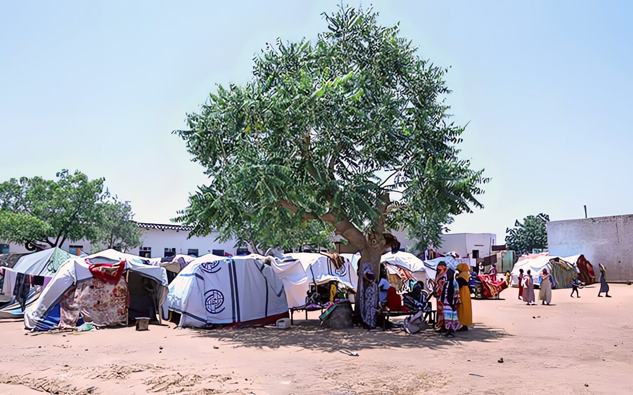 الجيش السوداني يجدد قصف مواقع «الدعم السريع» في نيالا