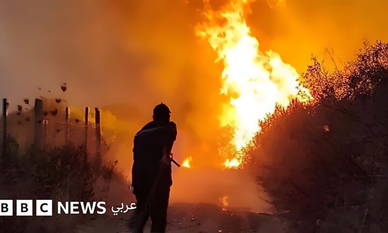 الجزائر تقر عقوبة الإعدام لمفتعلي حرائق الغابات