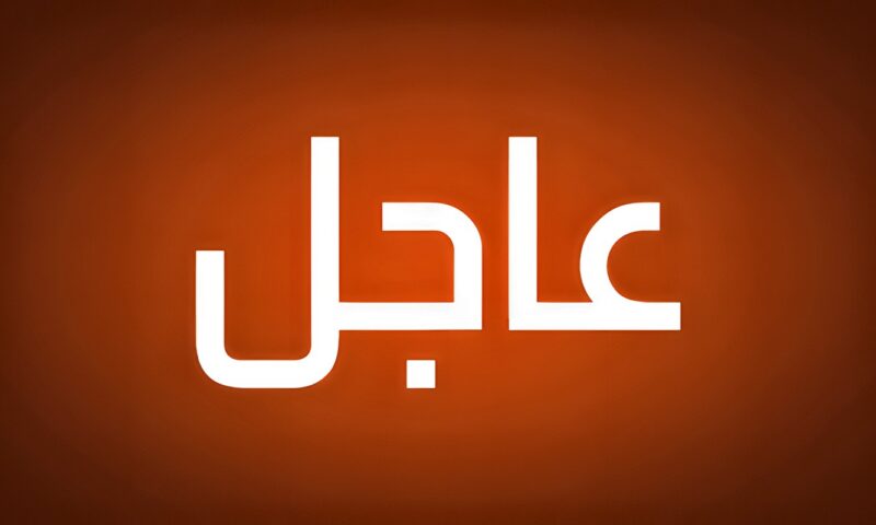 الدفاع الروسية: تحرير 17 بلدة وإصابة 17 سفينة محملة بشحنات للجيش الأوكراني خلال أسبوع
