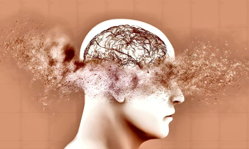 اكتشاف جديد يبعث الأمل في الحد من تلف الدماغ الناجم عن ألزهايمر