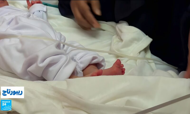 قطاع غزة: ساحة صراع من أجل البقاء..أزمة الحاضنات في مستشفى ناصر