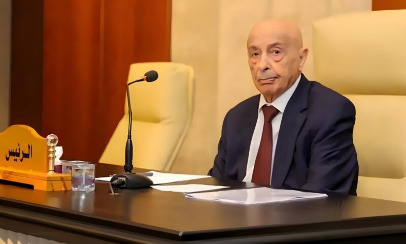 البرلمان الليبي يمهّد لرحيل عقيلة صالح وانتخاب رئيس جديد
