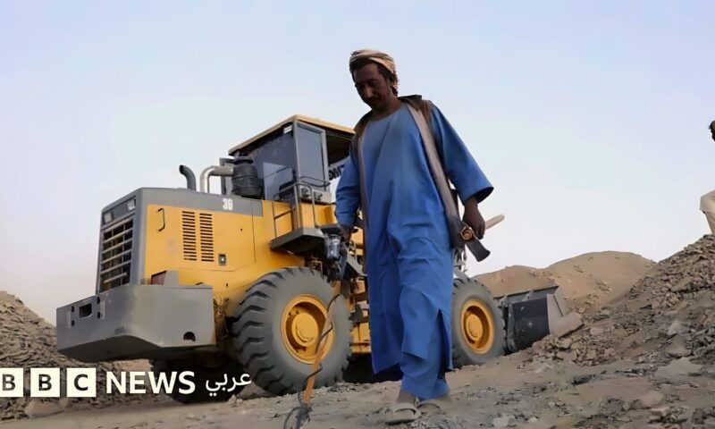السودان يشكل لجنة لتقصى ملابسات قصف “الدهّابة” على الحدود مع مصر