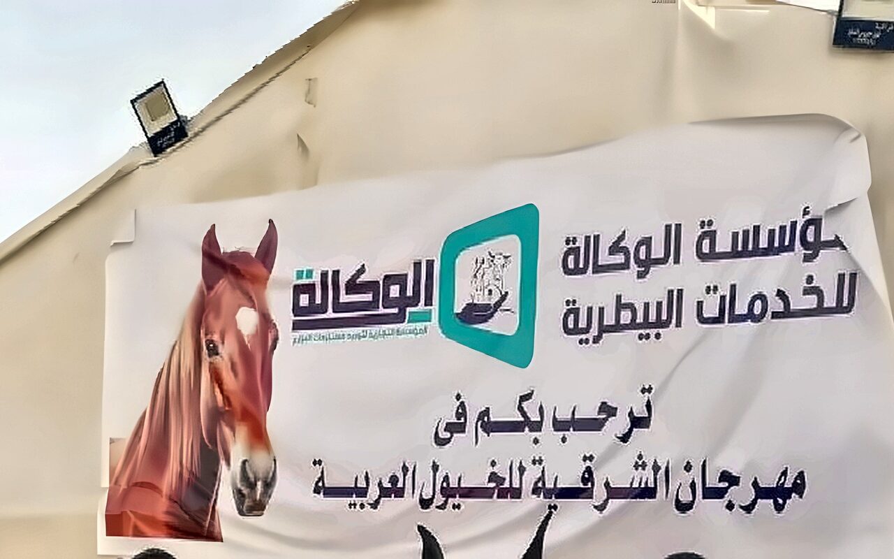 الشرقية تستعد لانطلاق مهرجان الخيول العربية الأصيلة بالعاشر من رمضان