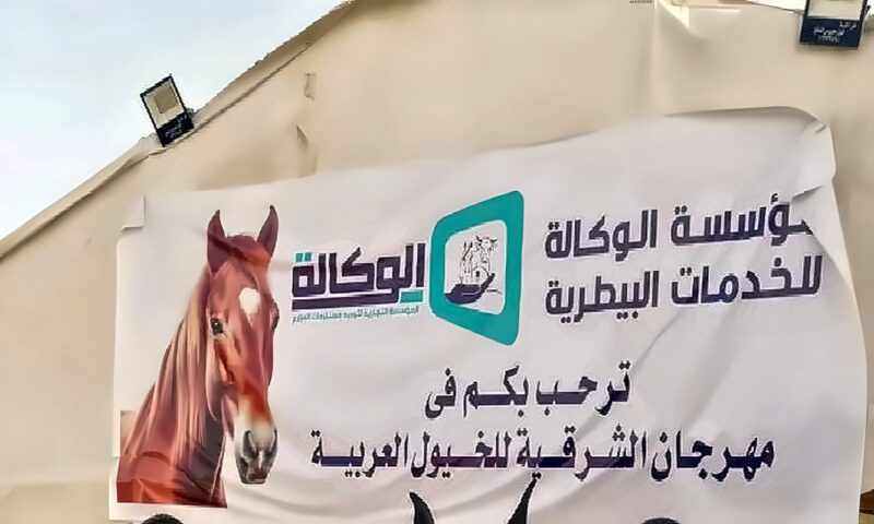 الشرقية تستعد لانطلاق مهرجان الخيول العربية الأصيلة بالعاشر من رمضان