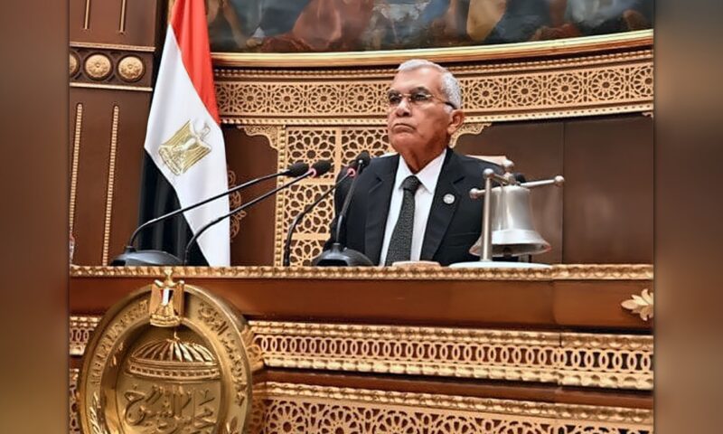 بالأسماء.. رؤساء الهيئات البرلمانية للأحزاب في مجلس الشيوخ