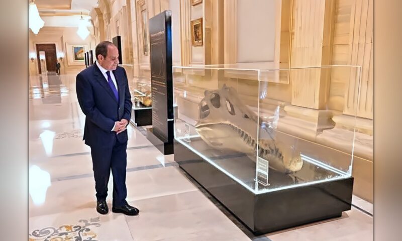 جمجمة أمام الرئيس السيسي تفتح ملفًا عمره 100 مليون سنة.. قصة الديناصور المصري الذي حطّم أسطورة «تي ركس»
