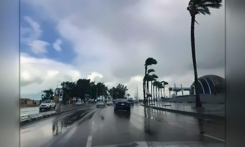 حالة الطقس غدًا في مصر.. أمطار وشبورة على عدة مناطق