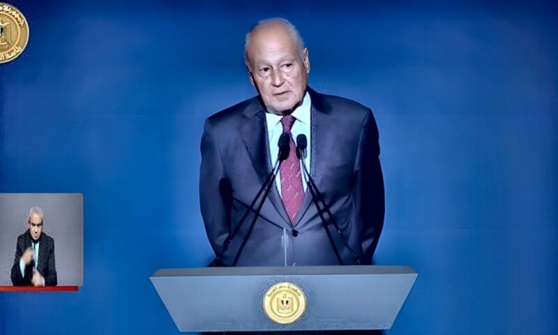 أبو الغيط: الرئيس السيسي تصدى لتحدي إنقاذ الدولة بعزيمة وإرادة قوية