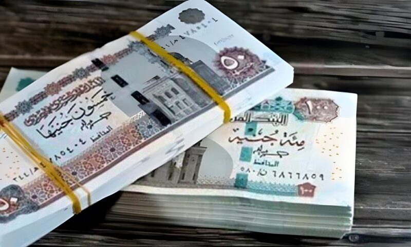 هل يجمع الأرمل بين معاش زوجته المتوفاة ودخله؟.. قانون التأمينات يوضح